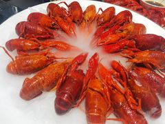 -红盔甲·小龙虾(人民广场店)