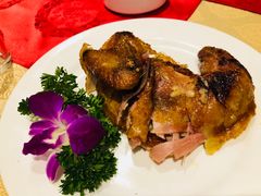 -凯鸽酒楼(水泉湾龙园店)