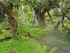 -Chom Cafe and Restaurant