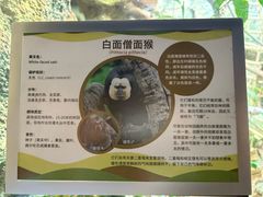 -ZOO COFFEE动物园咖啡(红山森林动物园店)