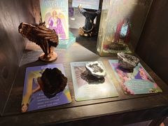 -雪灵魔法世界SHELLY’S TAROT(大良桂畔里店)