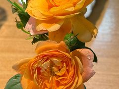 -初花·日本料理