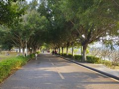 -风云岭森林公园