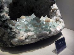 -安徽省地质博物馆