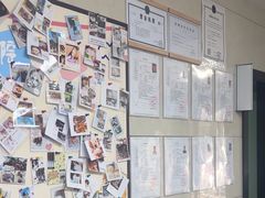 -半岛宠物医院24小时(白果林店)