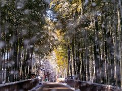 -天目湖御水温泉·度假酒店