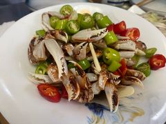 -鲁前海沿儿