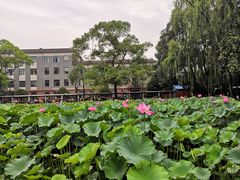 -四川大学(望江校区)