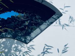-东方绿舟景区
