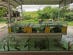 -水上人家河鲜