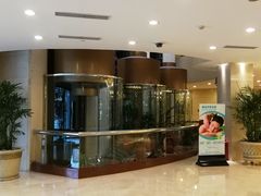 -北京王府井天伦王朝酒店