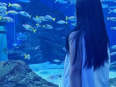 -海合安武汉极地海洋公园
