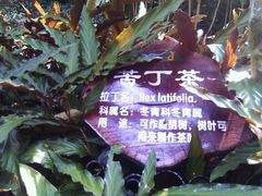 -呀诺达热带雨林