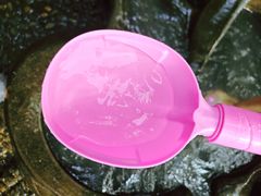 -成都市活水公园