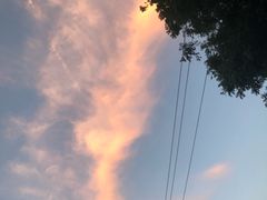 -小贝壳酒楼(经九路店)