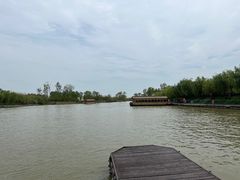 -泗洪洪泽湖湿地景区