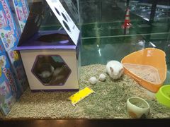 -宠物世家(仲盛世界商城店)