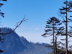 -瓦屋山景区