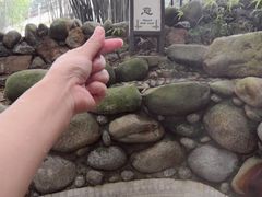 -三江森林温泉度假区