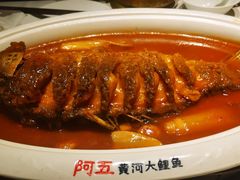 -阿五黄河大鲤鱼(英协路店)
