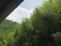 -将军关探险漂流