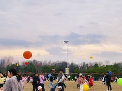 -武汉园博园(武汉自然博物馆)