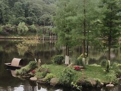 -重庆彩云湖湿地公园