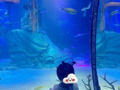 -沈阳海洋探索中心