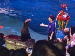 -烟台海昌鲸鲨海洋公园