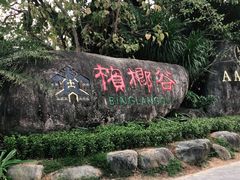 -呀诺达热带雨林