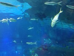 -福州罗源湾海洋世界旅游区