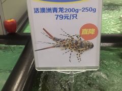 -盒马渔市餐厅