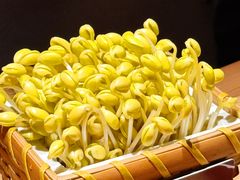 井水黄豆芽-巴奴毛肚火锅(七宝领展广场店)
