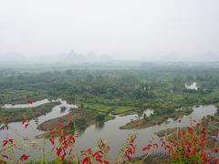 -会仙湿地