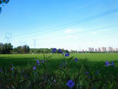 -嘉北郊野公园