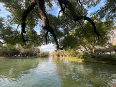 -西溪国家湿地公园