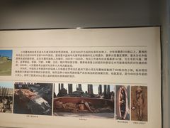 -巴音郭楞蒙古自治州博物馆