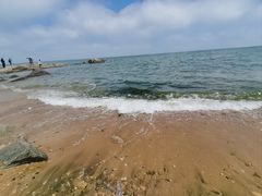 -日照海滨国家森林公园