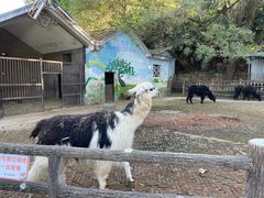 -昆明动物园