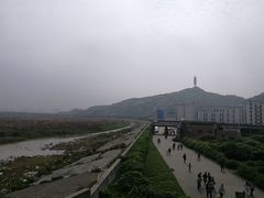-洋山深水港