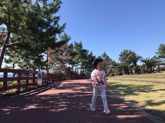 -柱状节理带