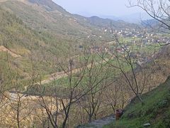 -东天目山风景区