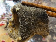 纯鲜毛肚-储奇门鳝鱼火锅(总店)