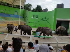 -大连森林动物园