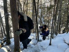 -峡谷浮石林景区