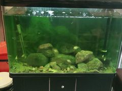 水产区-李先生牛肉面大王(华联商厦店)