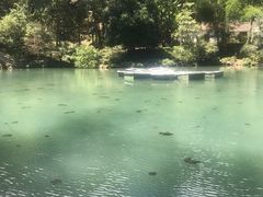 -灵栖洞天