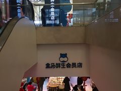 门面-盒马鲜生(大成店)