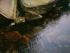 -芦沟竹海