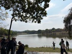 -东莞植物园